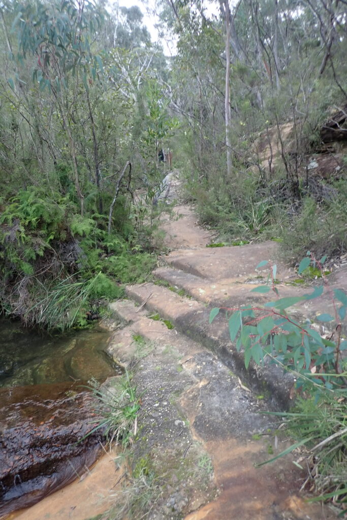Looking along sandstone steps curving to rock pool and ferns.