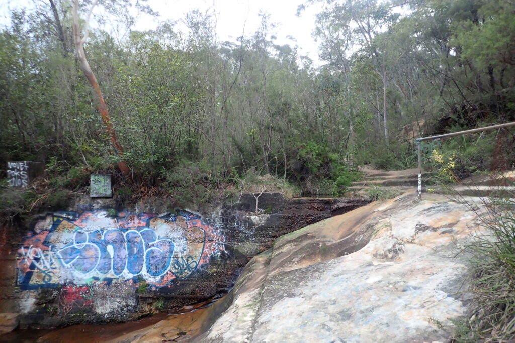 Graffitied wall to left with steps and natural ledge and handrail to right, bush above.