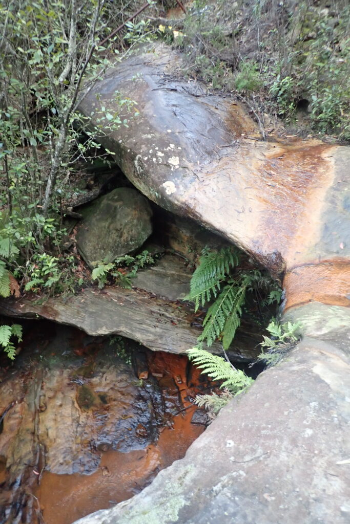 Looking down into waterworn sandstone pool with ferns.