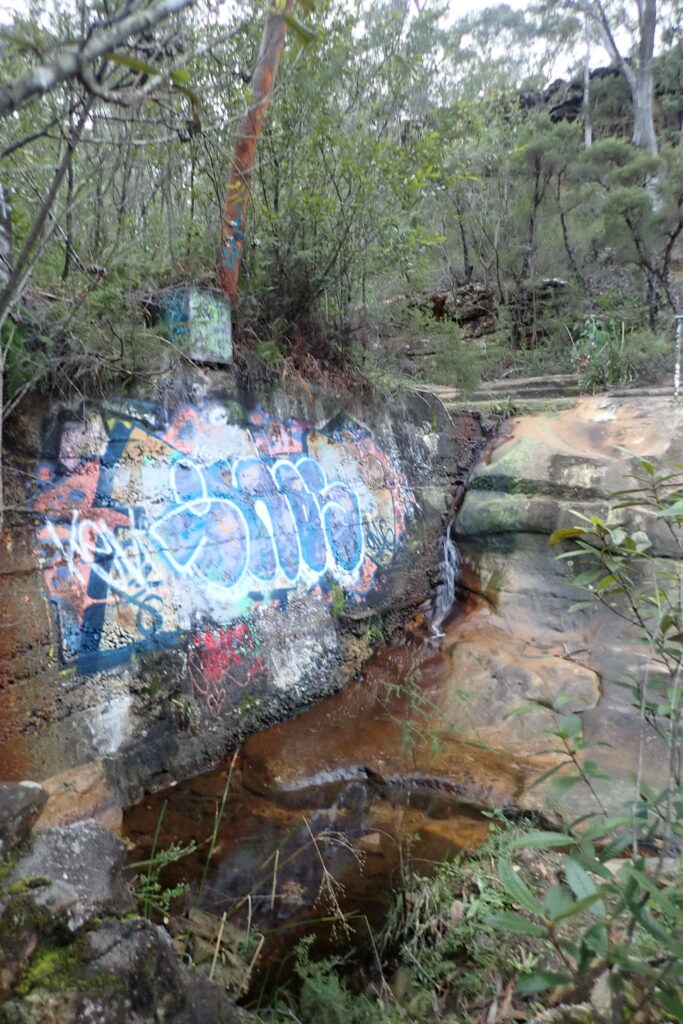 View along retaining wall with graffiti to natural sandstone ledge and bush beyond.