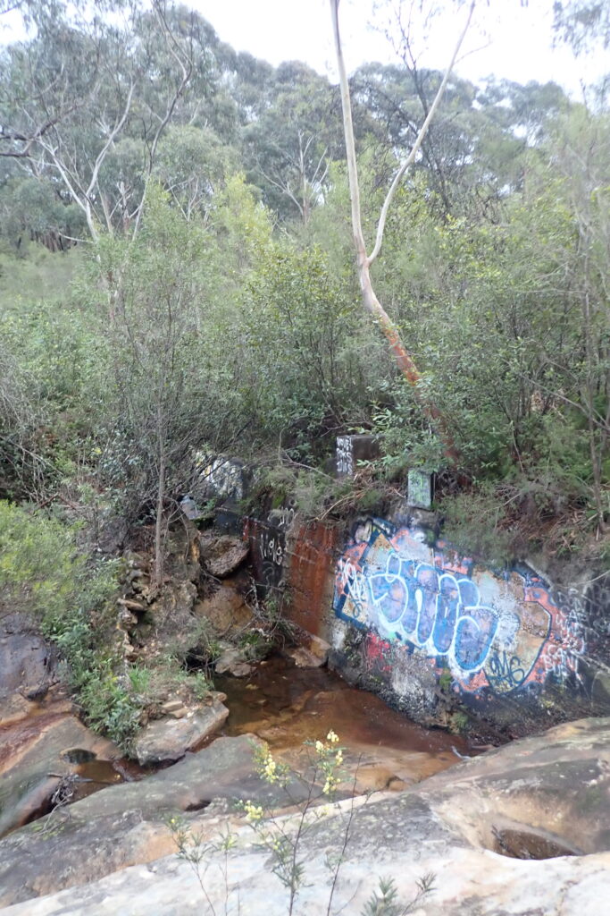 Graffiti on retaining wall with bush backdrop.